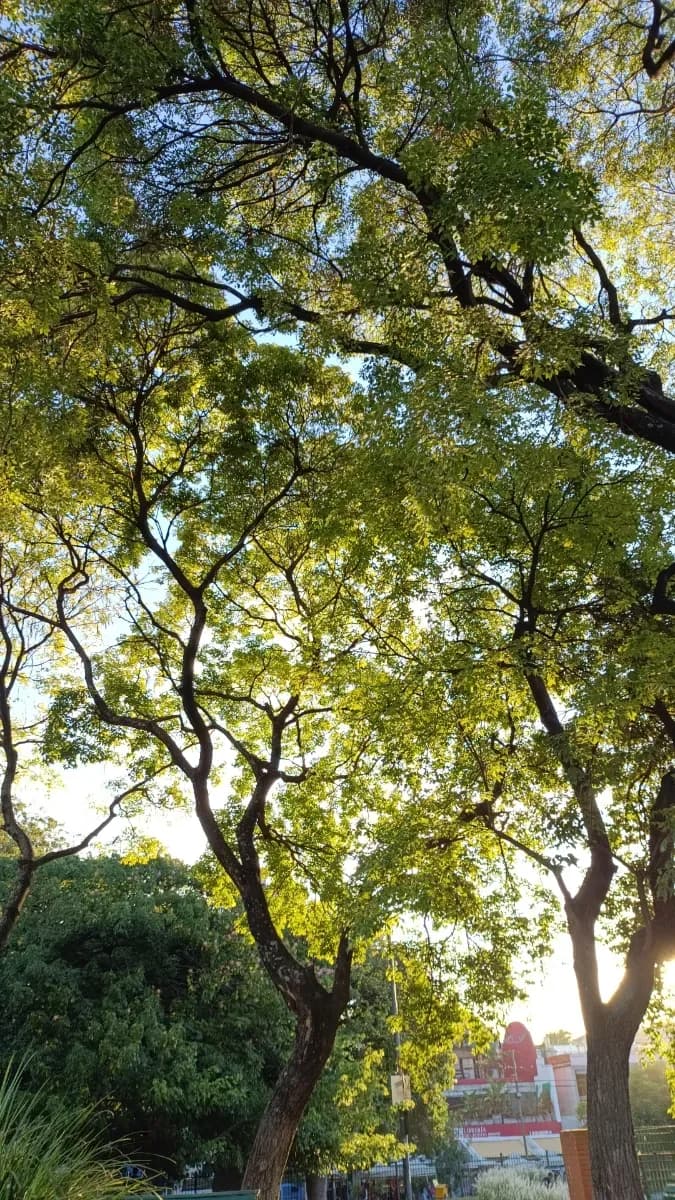 Guadalupe P. 13