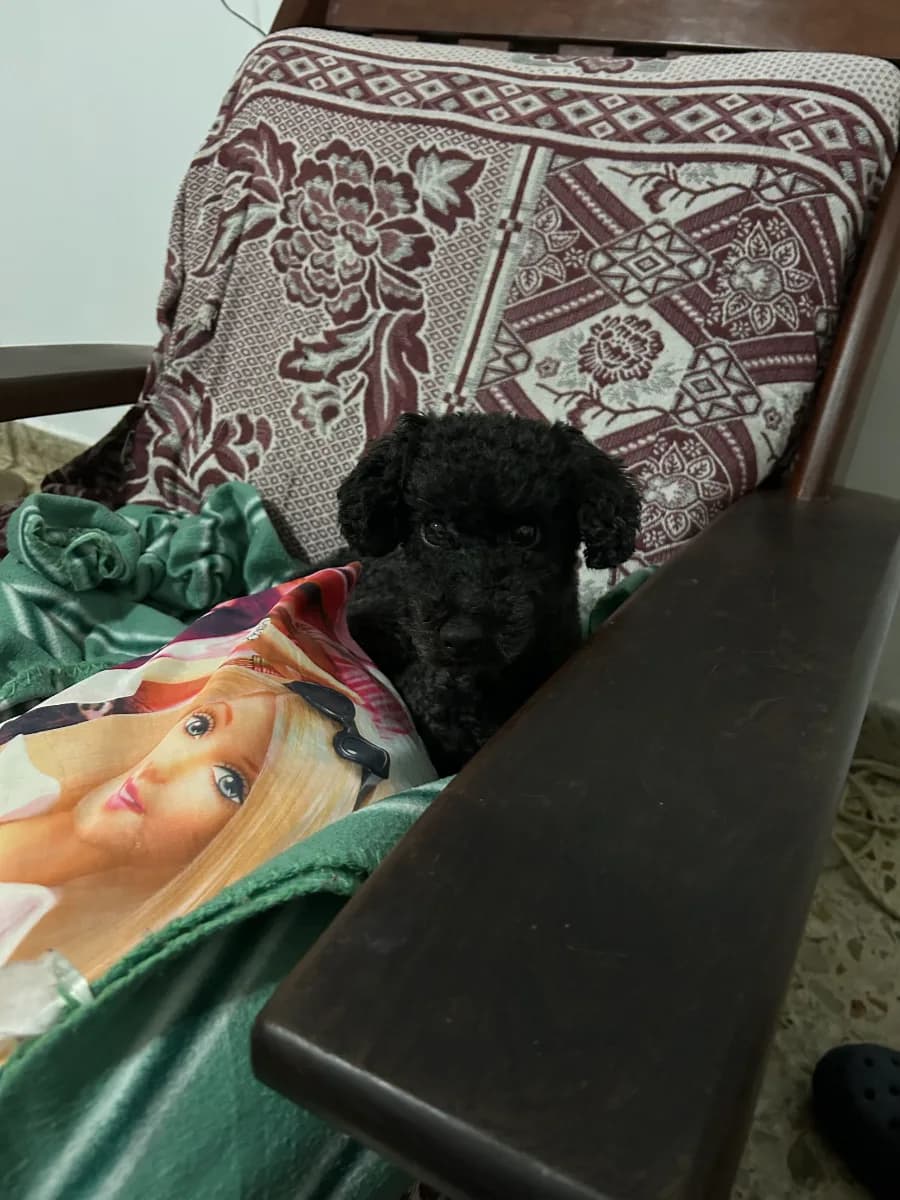 Camila P. 3