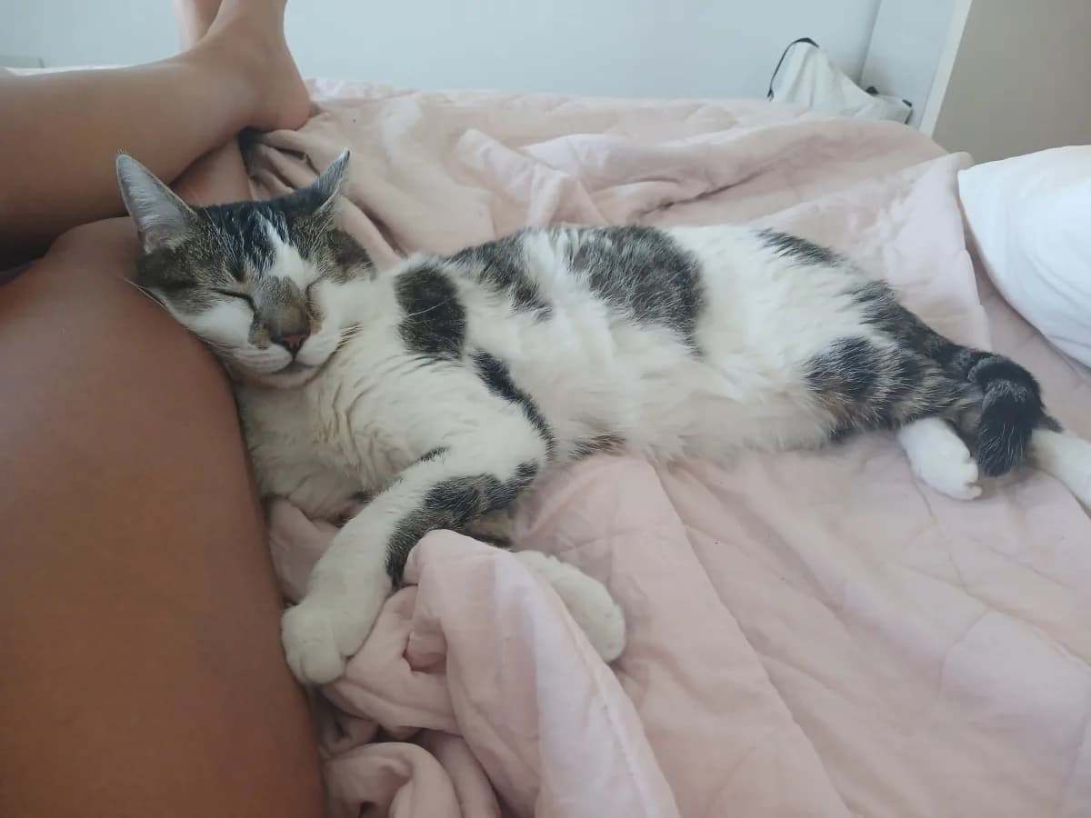 Federica V. 3