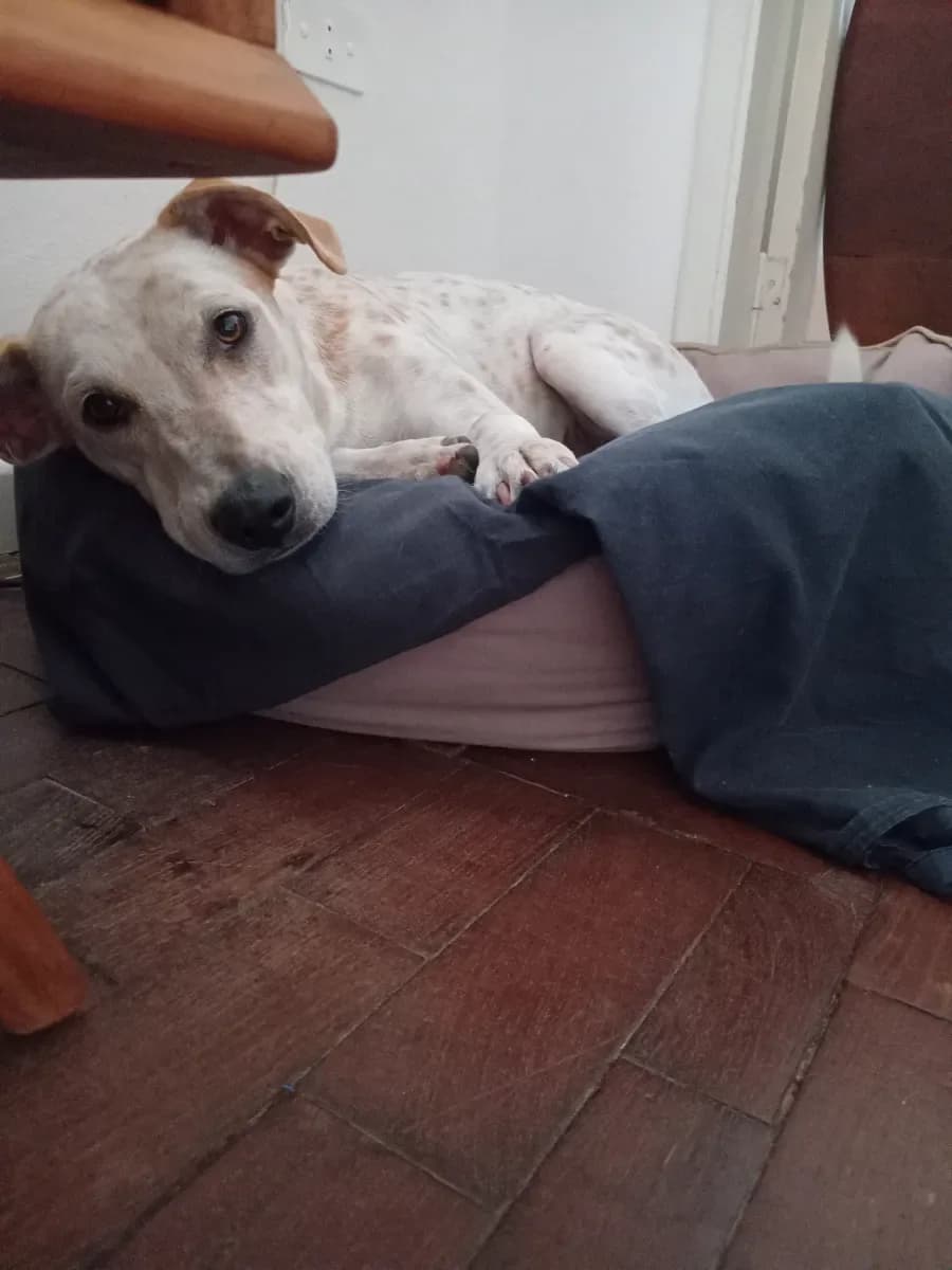 Lucila G. 6