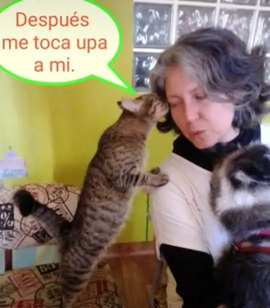 Anita 6