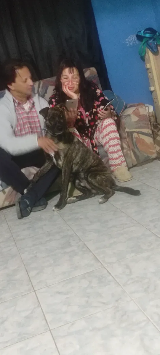 Cristian R. 8