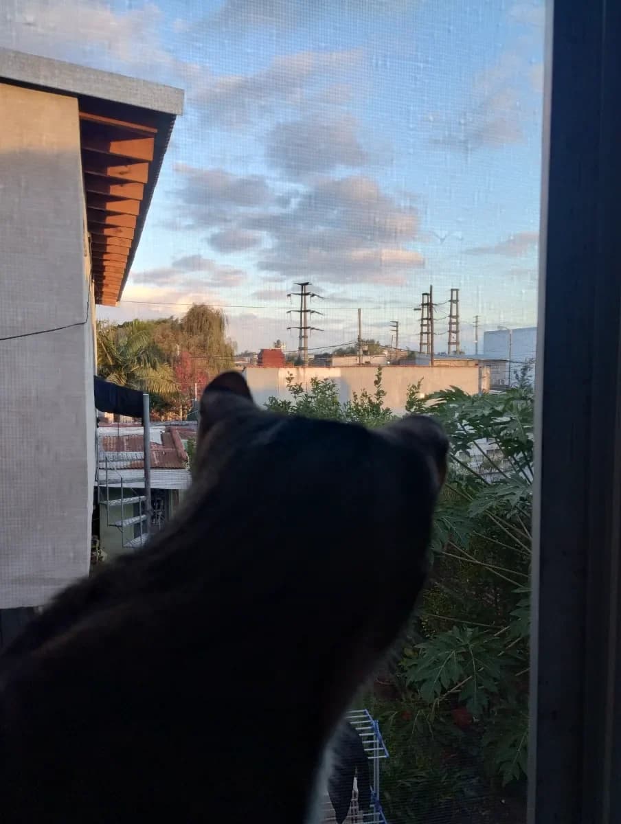 Mia Y. 3