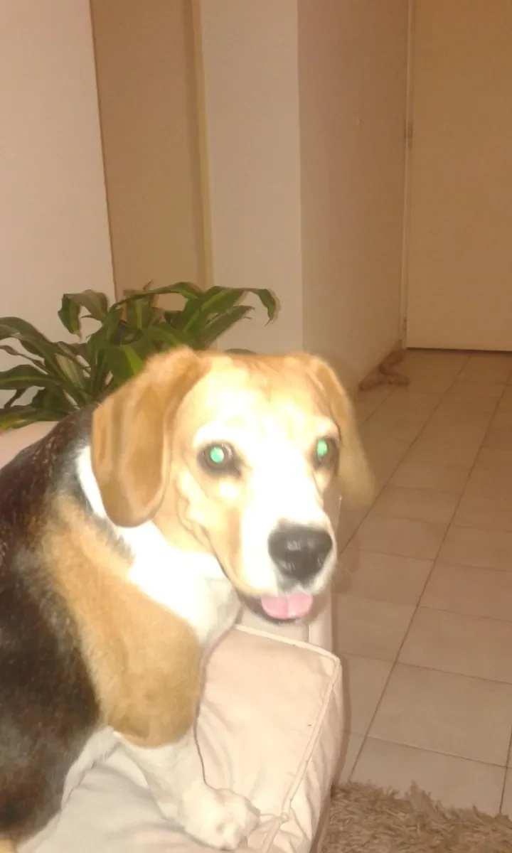 Fabiana S. 10