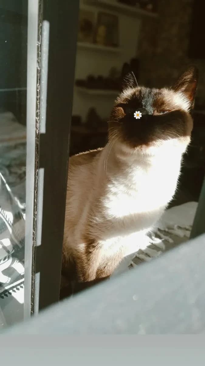 Luciana B. 7