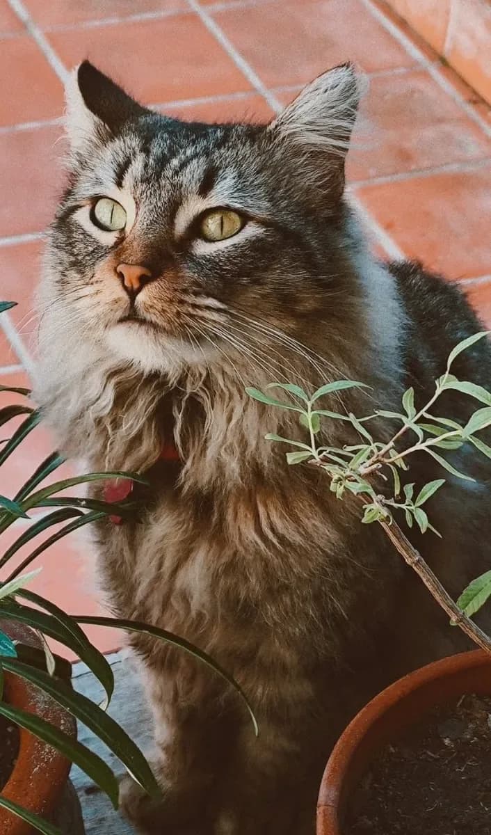Luciana B. 11