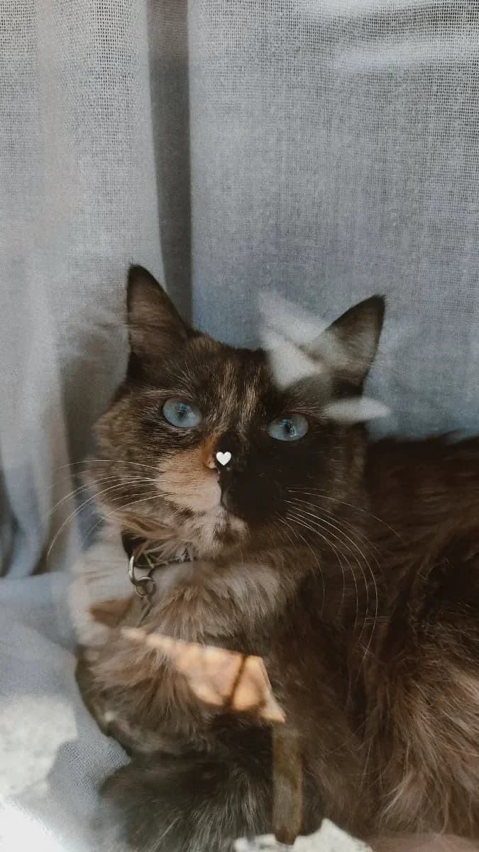 Luciana B. 9