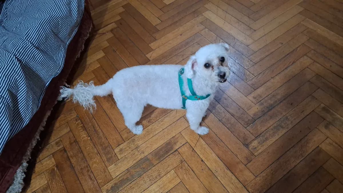 Foto de Romina A.