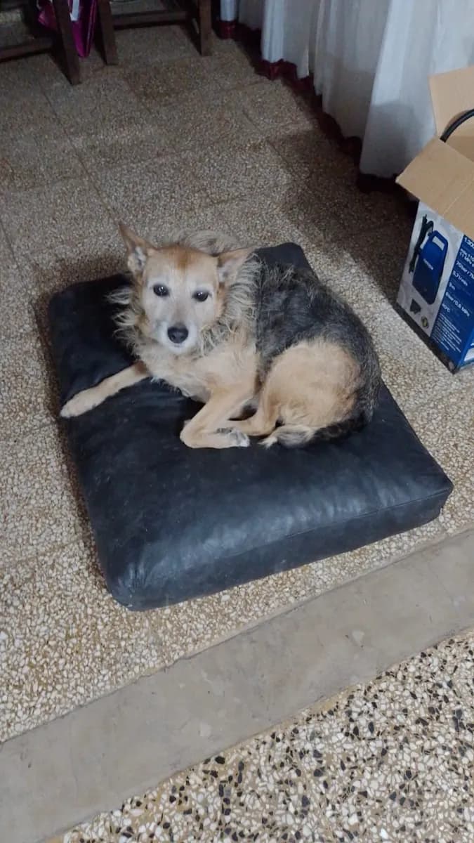 Foto de Rosana L.