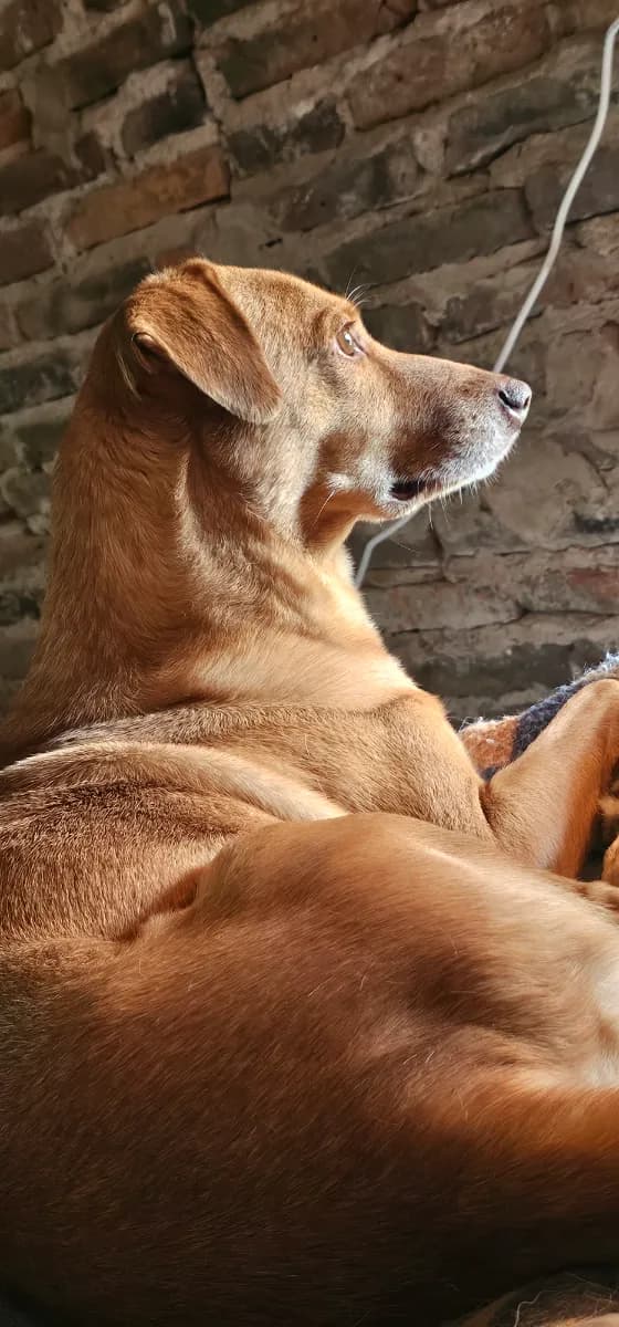 Foto de Andrea C.