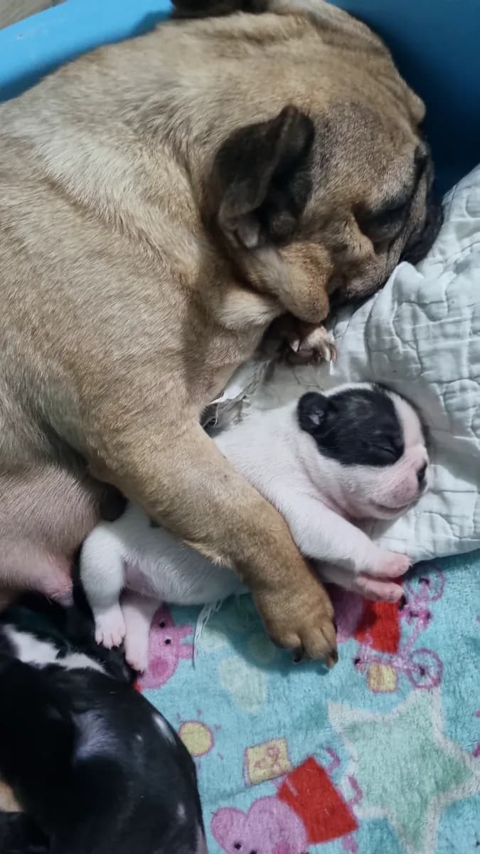 Foto de MARINA P.