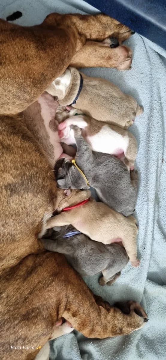 Foto de MARINA P.