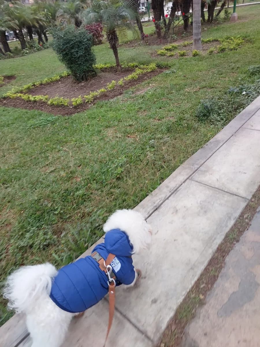 Foto de Heidy Valeria P.