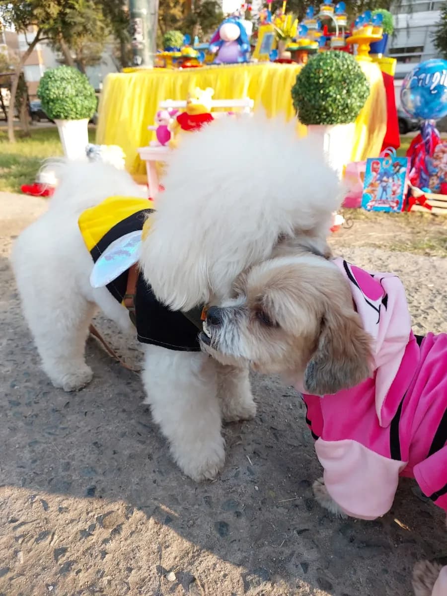 Foto de Heidy Valeria P.