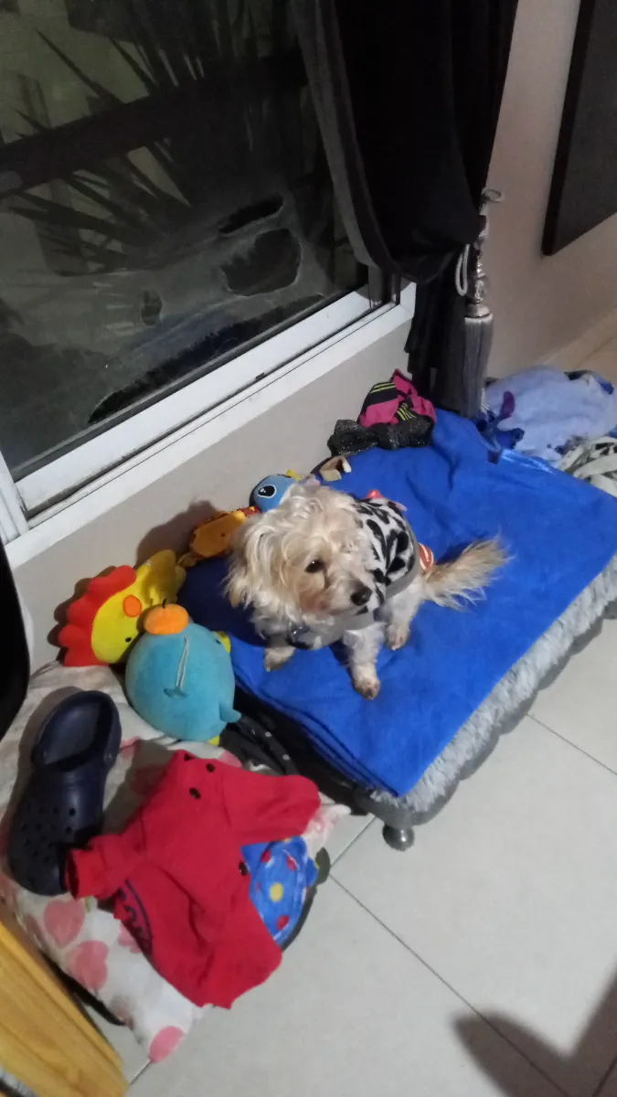 Foto de Karina A.