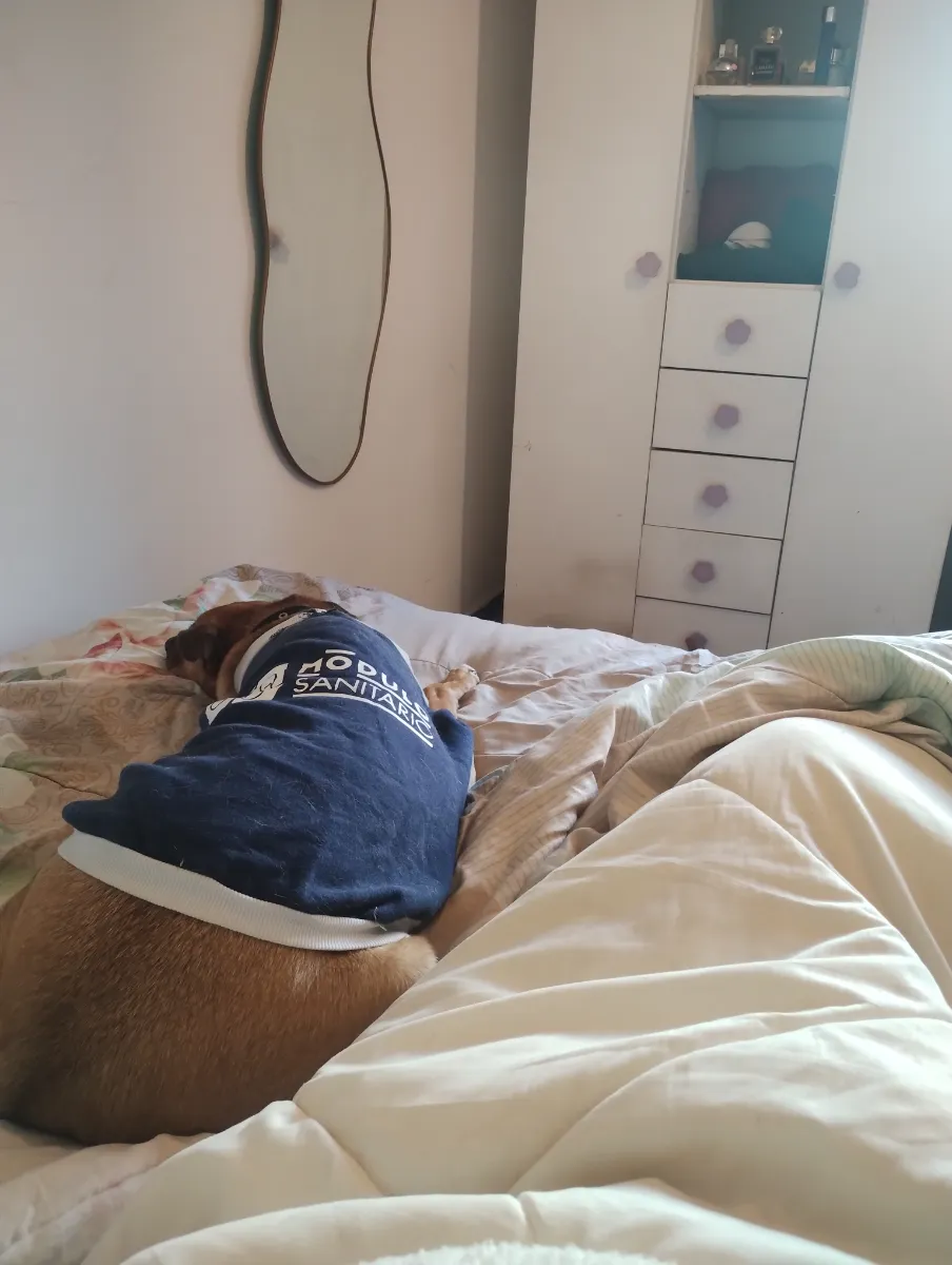 Foto de Karina C.