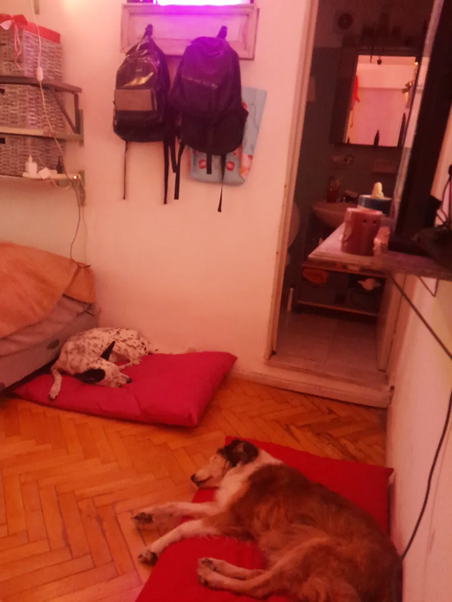 Foto de Silvia B.