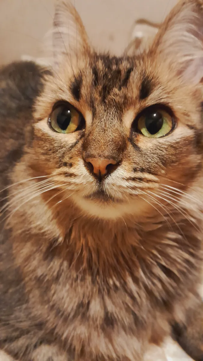 Foto de Brisa A.