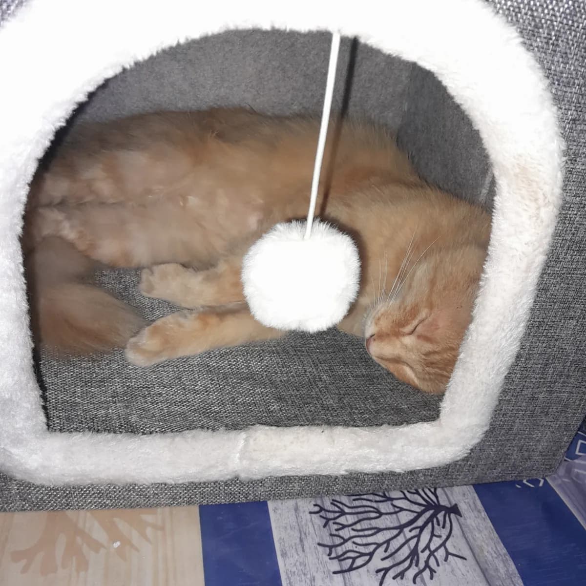 Foto de Brisa A.