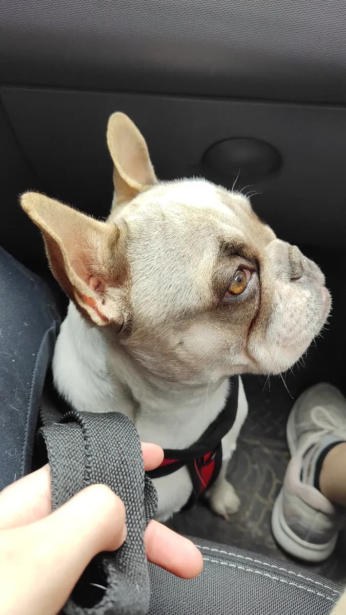 Foto de Priscila C.